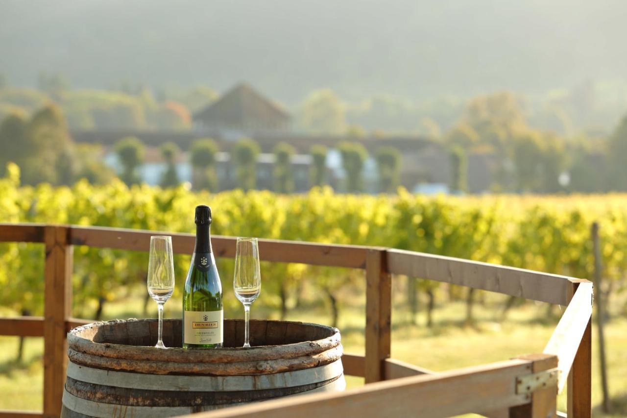 Denbies Vineyard Hotel Доркинг Экстерьер фото