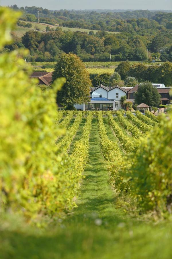 Denbies Vineyard Hotel Доркинг Экстерьер фото