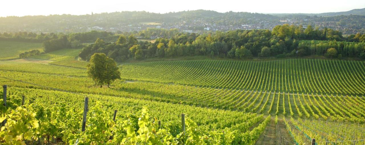 Denbies Vineyard Hotel Доркинг Экстерьер фото