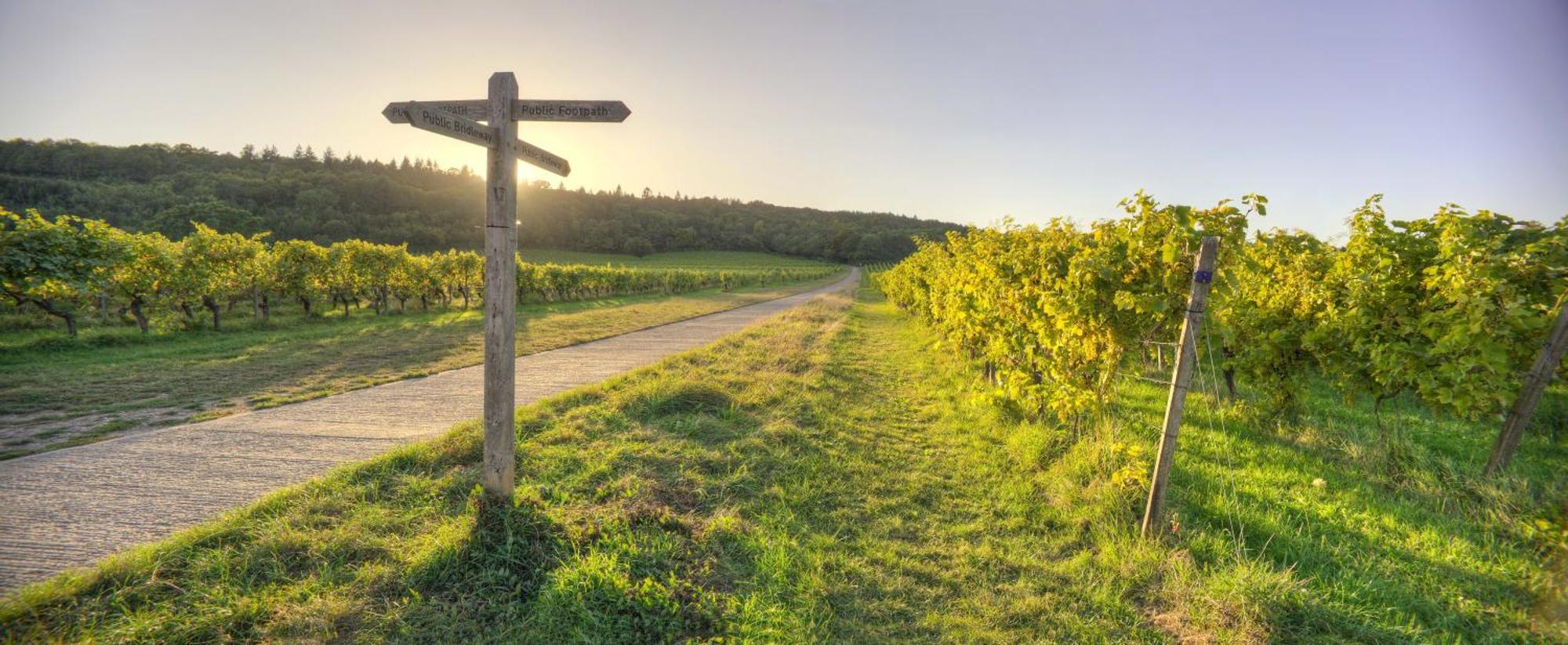 Denbies Vineyard Hotel Доркинг Экстерьер фото
