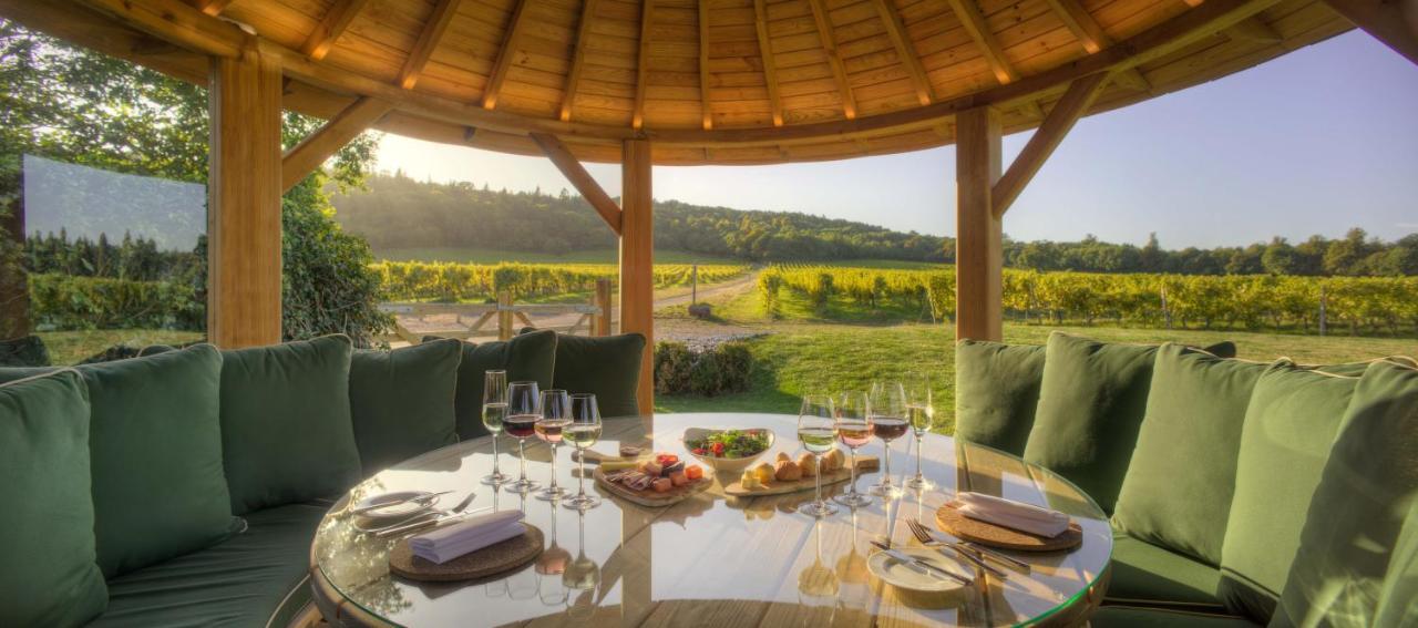 Denbies Vineyard Hotel Доркинг Экстерьер фото
