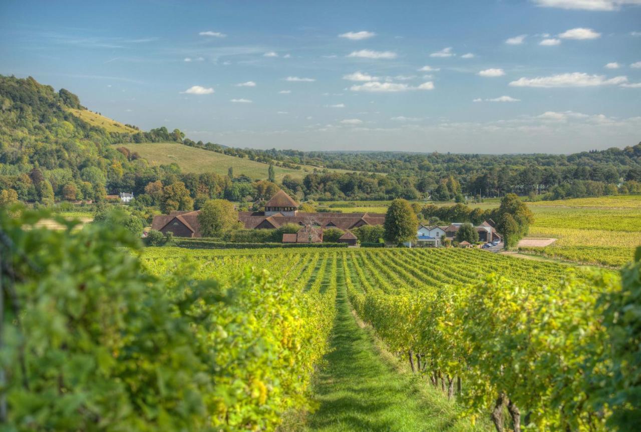 Denbies Vineyard Hotel Доркинг Экстерьер фото